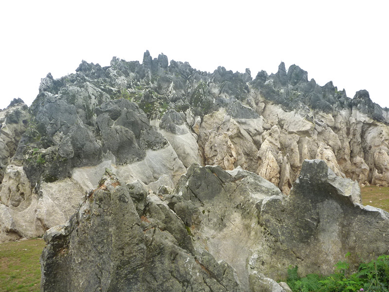 p1150512_.jpg