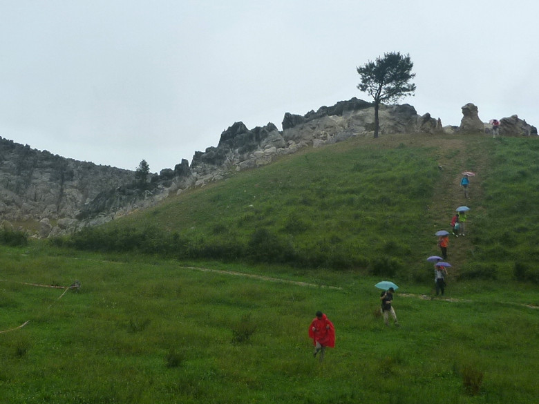 p1150521_.jpg