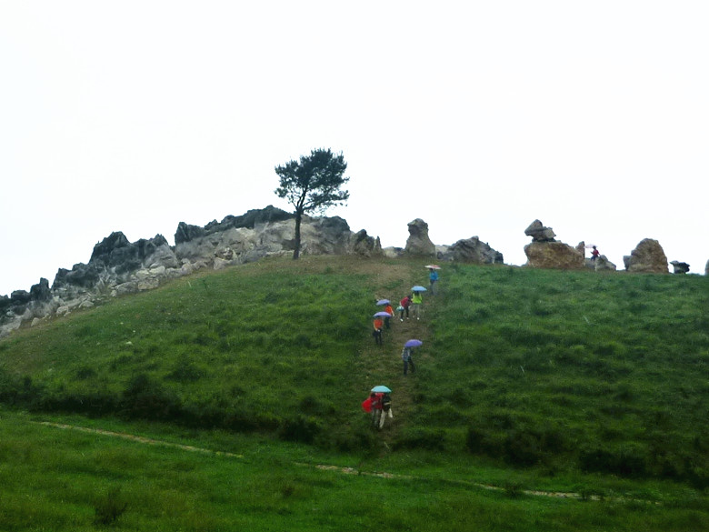 p1150520_.jpg