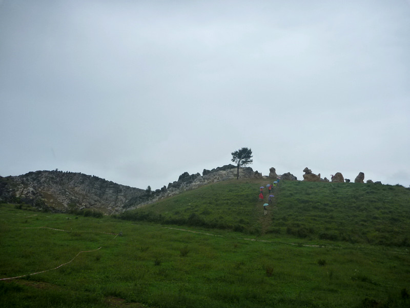 p1150519_.jpg