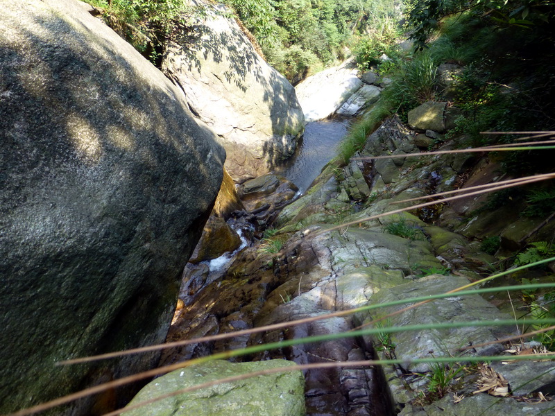p1090265.jpg