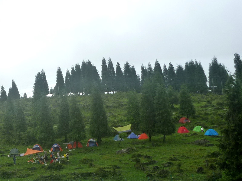 p1150556_.jpg