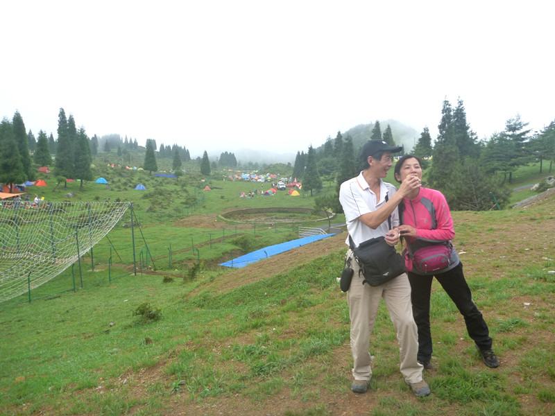 p1150560_.jpg
