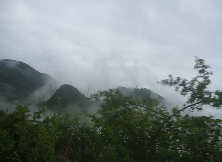 p1150566_.jpg