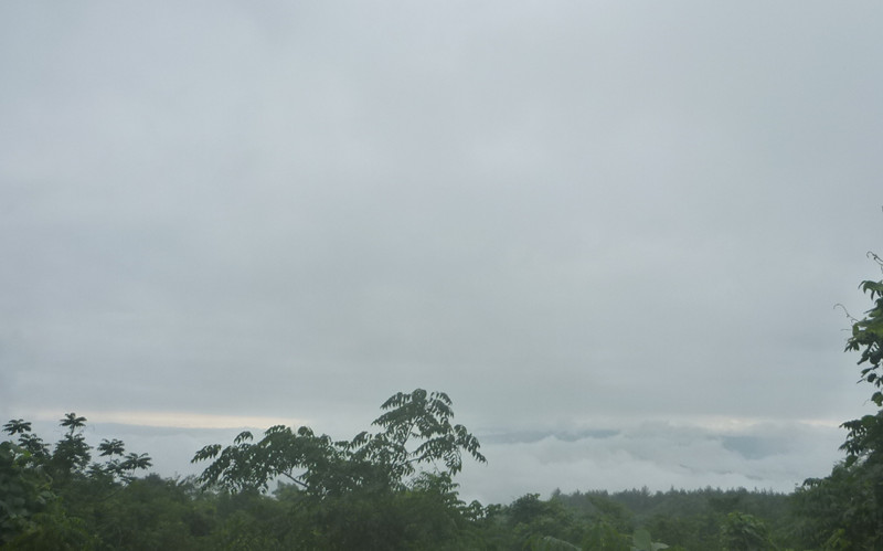 p1150562_.jpg