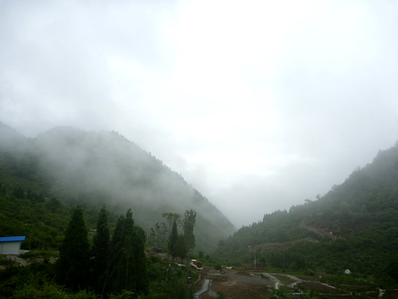 p1150569_.jpg