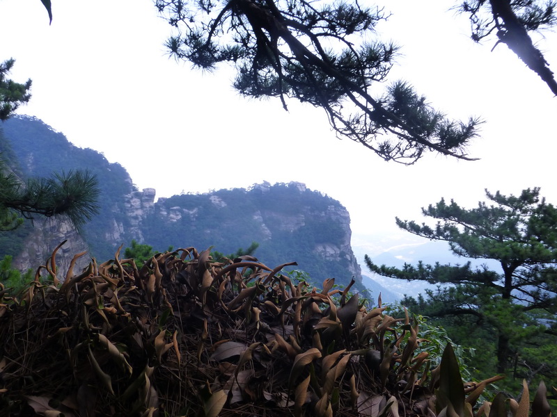 p1090269.jpg