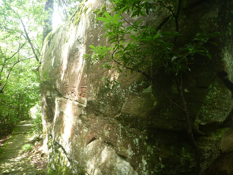 p1150588_.jpg