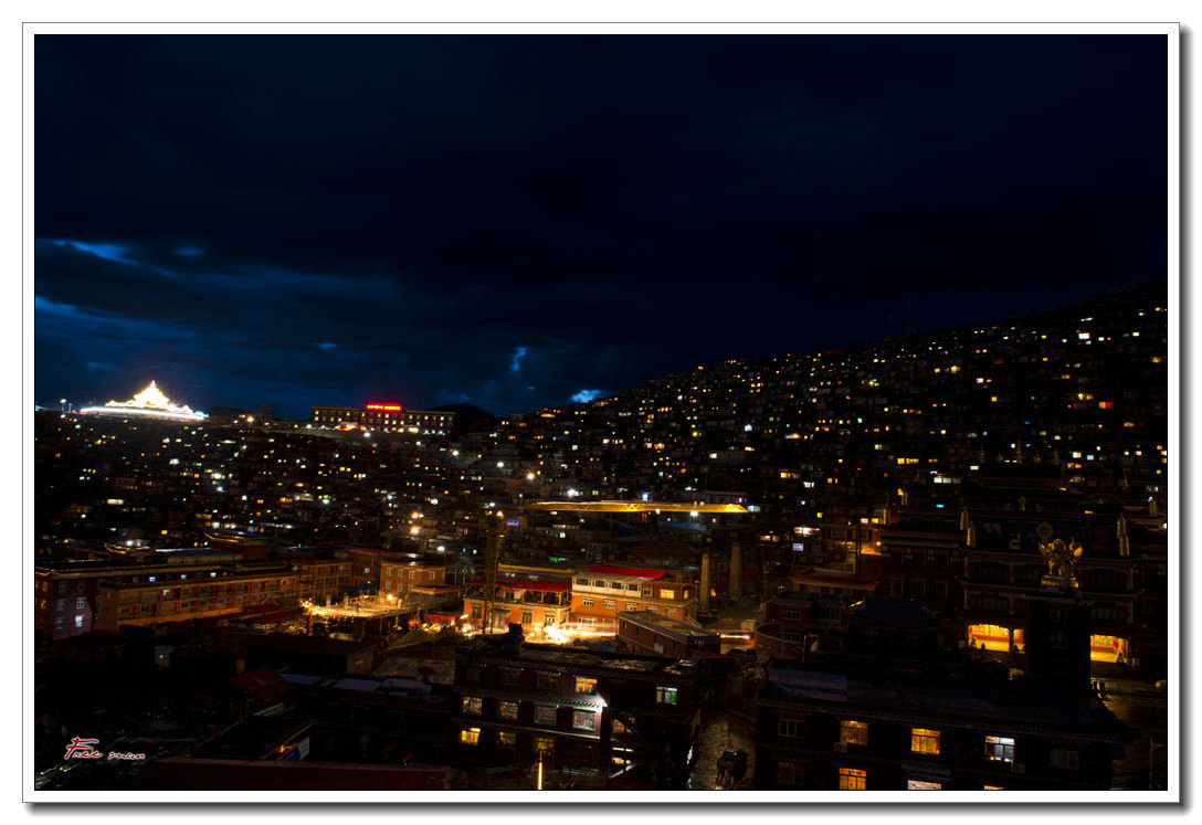 dsc_2398.jpg