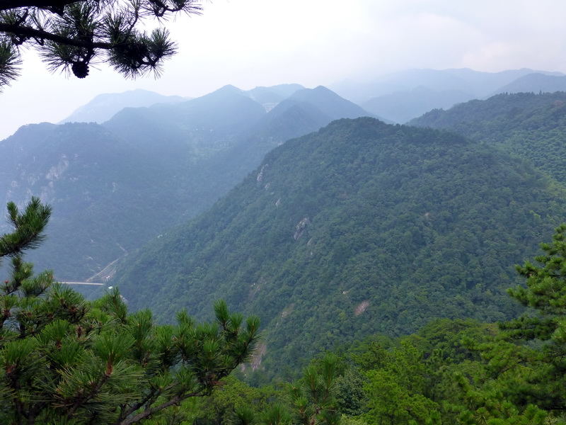 p1090277.jpg