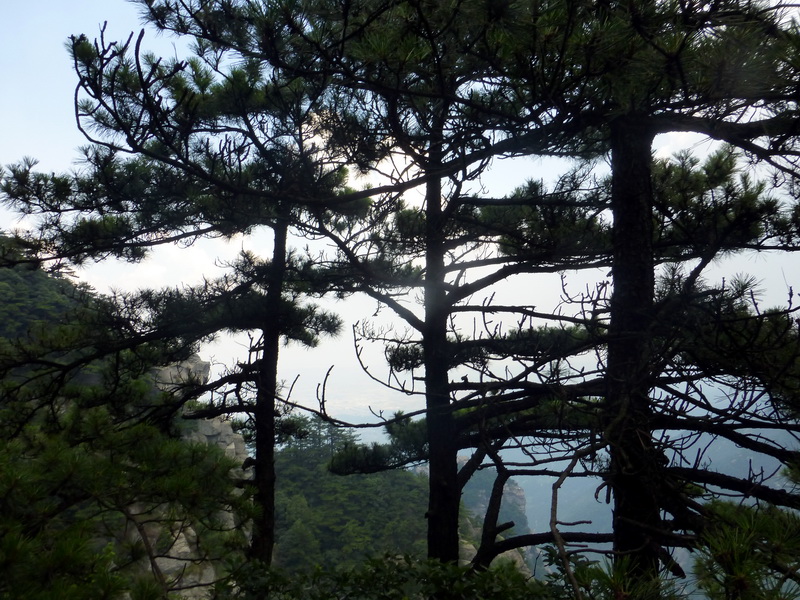 p1090280.jpg