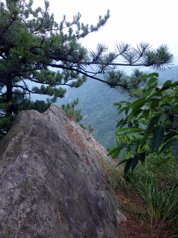 p1090281.jpg