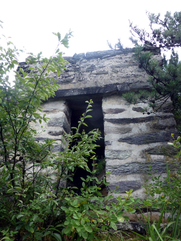 p1090285.jpg