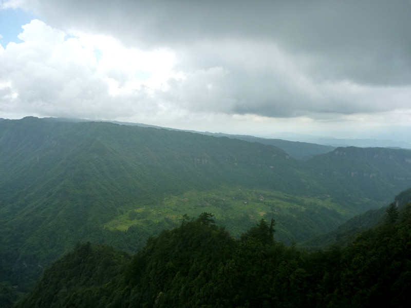 p1150595_.jpg