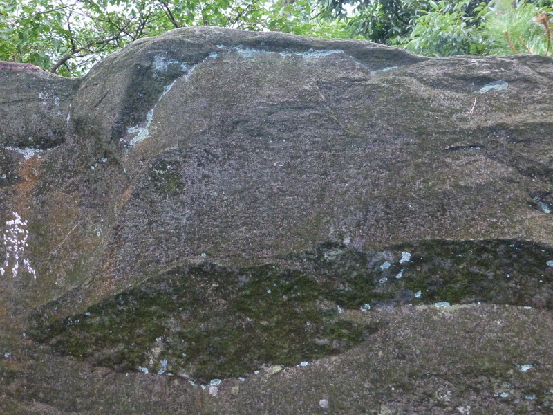p1090283.jpg