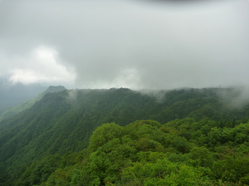p1150628_.jpg