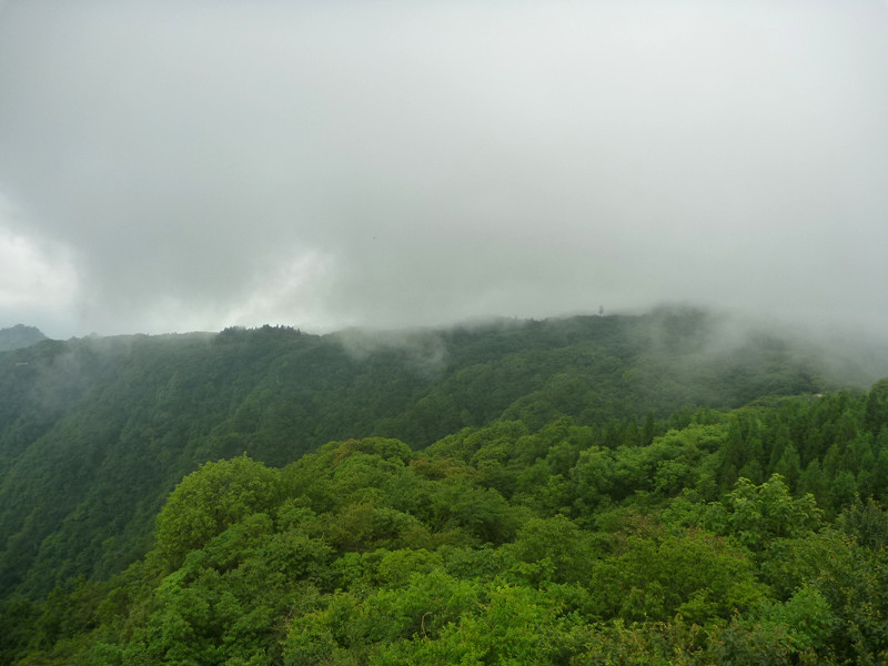 p1150629_.jpg