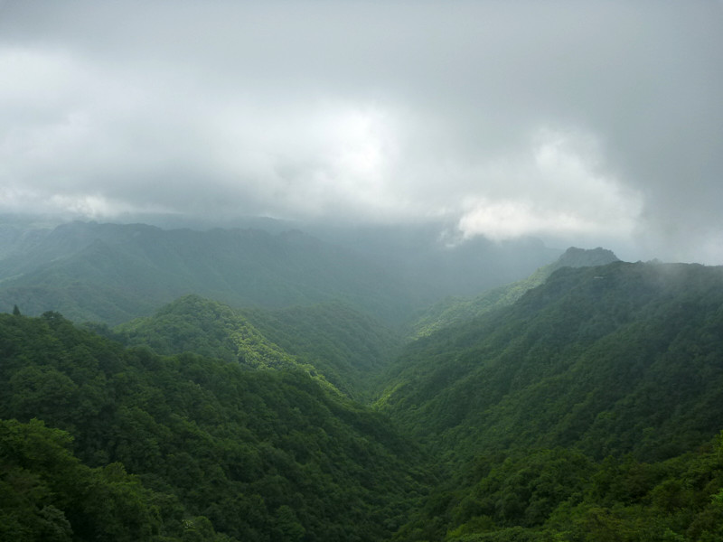 p1150630_.jpg