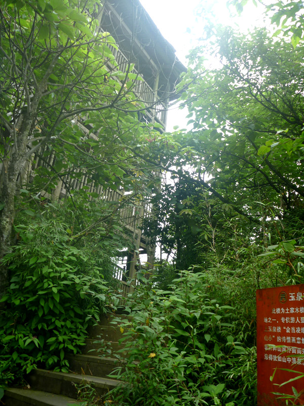 p1150633_.jpg