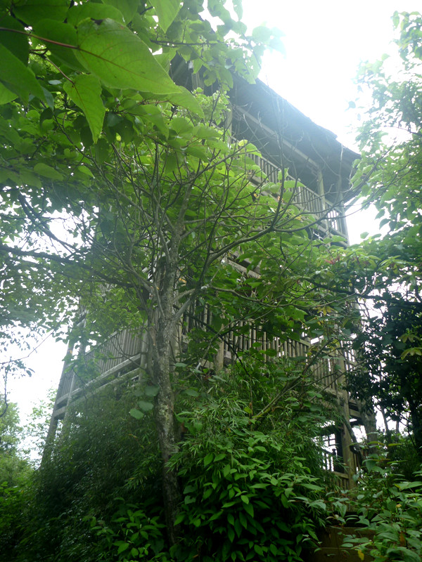 p1150634_.jpg