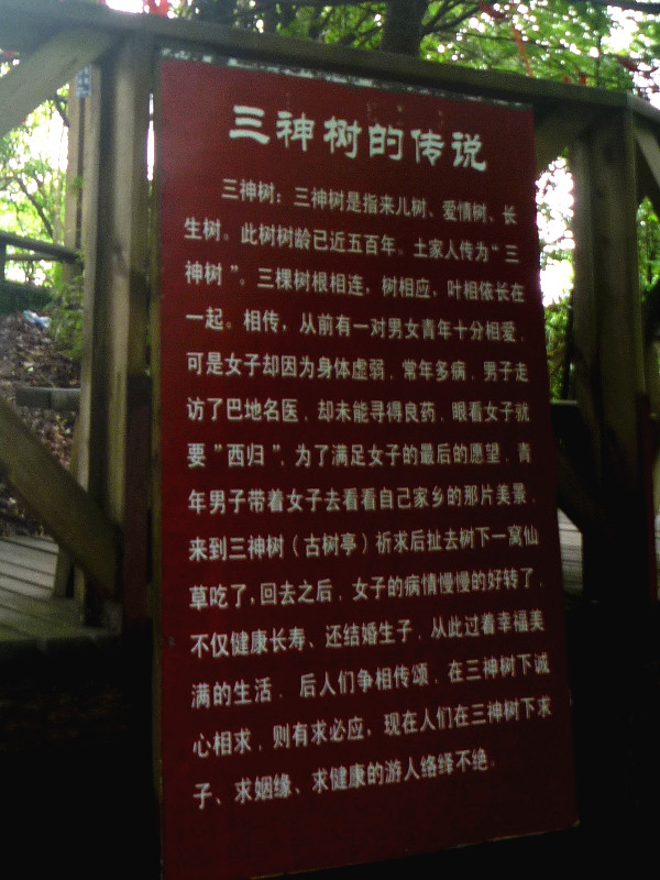 p1150620_.jpg