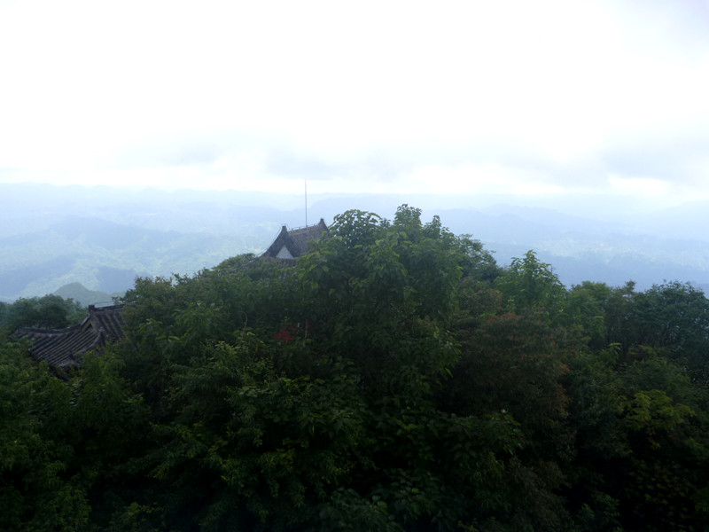 p1150632_.jpg