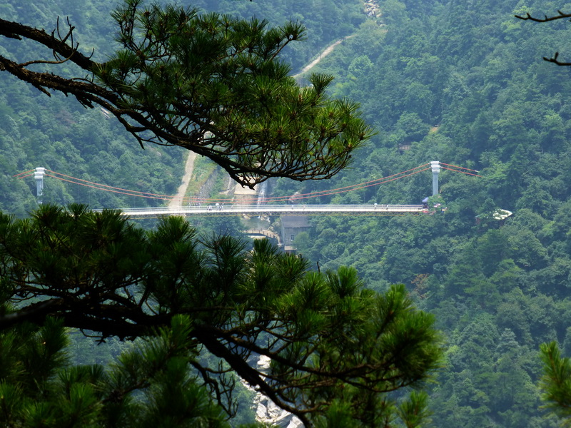 p1090307.jpg