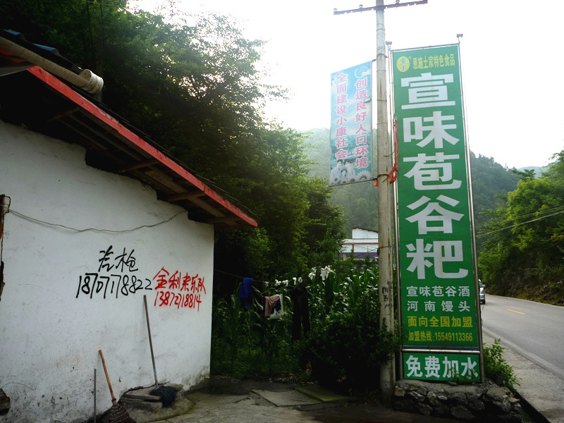 p1150642_.jpg