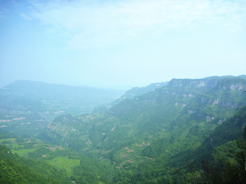 p1150644_.jpg