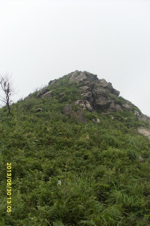 sl384156.jpg