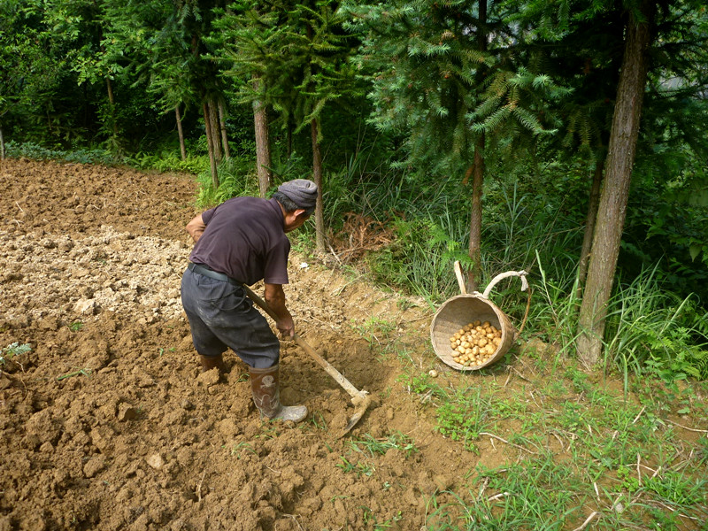 p1150660_.jpg