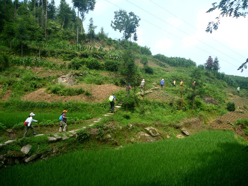 p1150702_.jpg