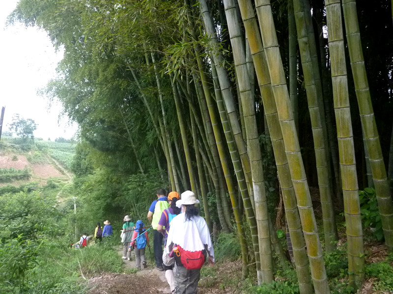 p1150700_.jpg