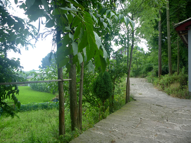 p1150707_.jpg