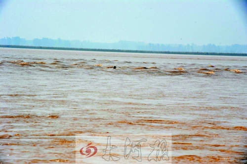 img380295265ƺƯ3.jpg