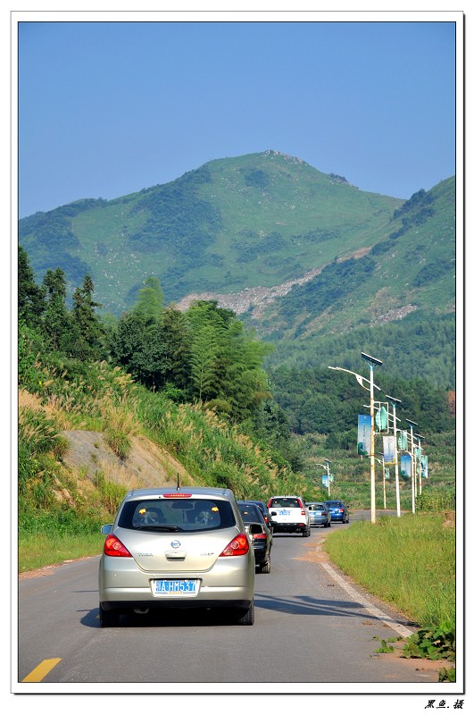 dsc_0099_Ŀѹ.jpg