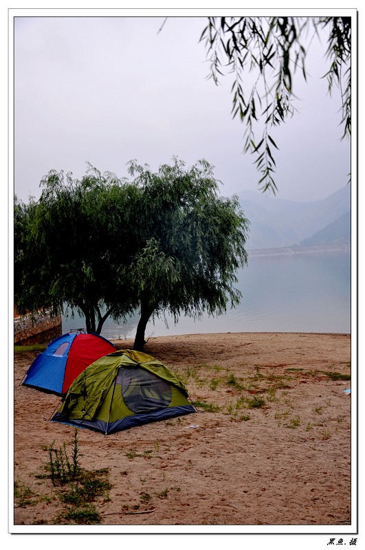 dsc_0156_Ŀѹ.jpg