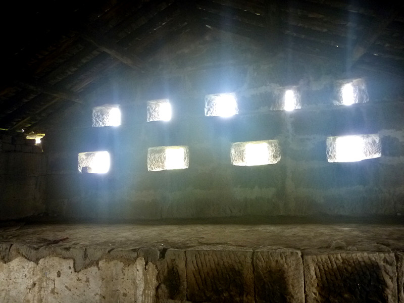 p1150737_.jpg