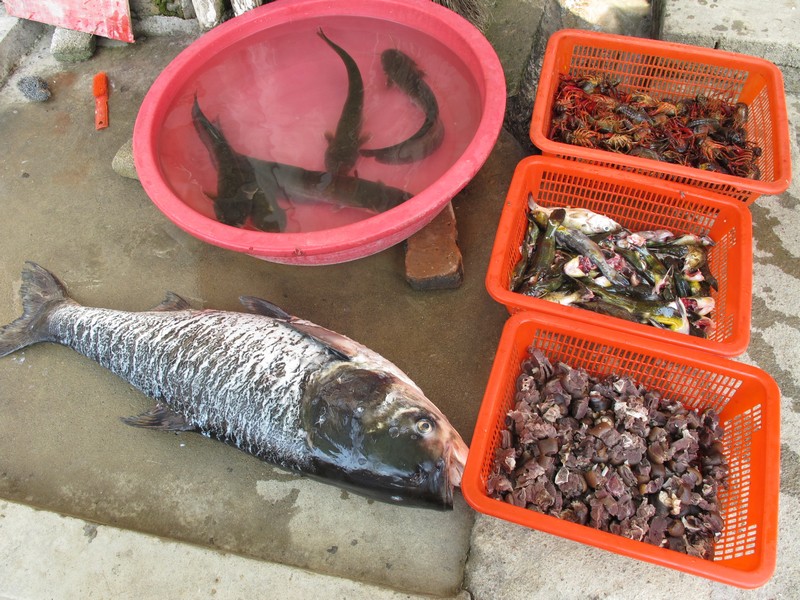 simg_1214.jpg