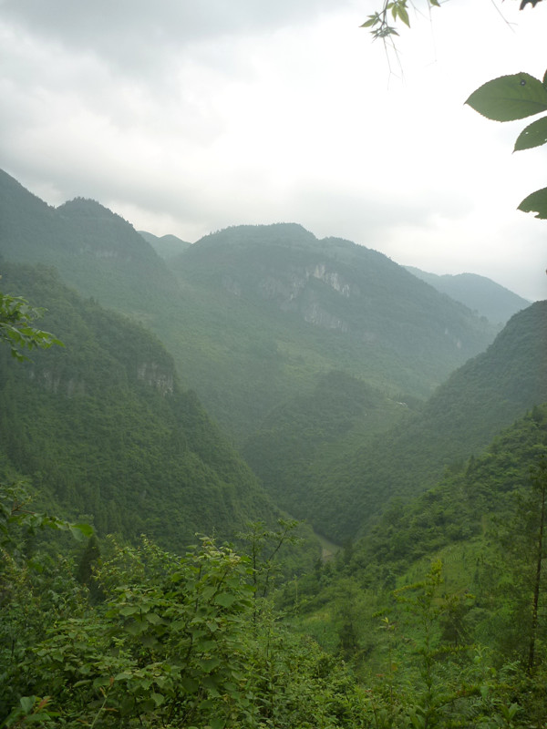p1150782_.jpg