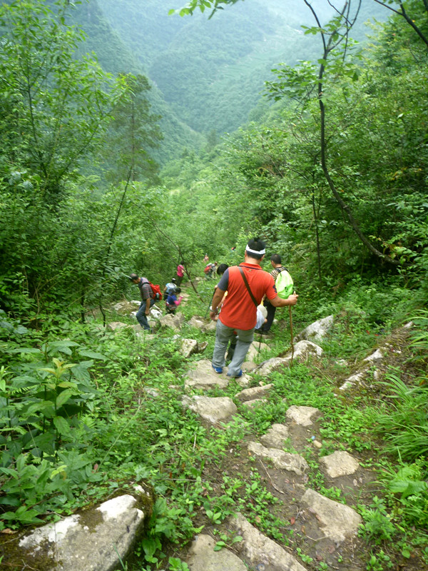 p1150783_.jpg