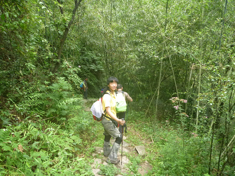p1150785_.jpg