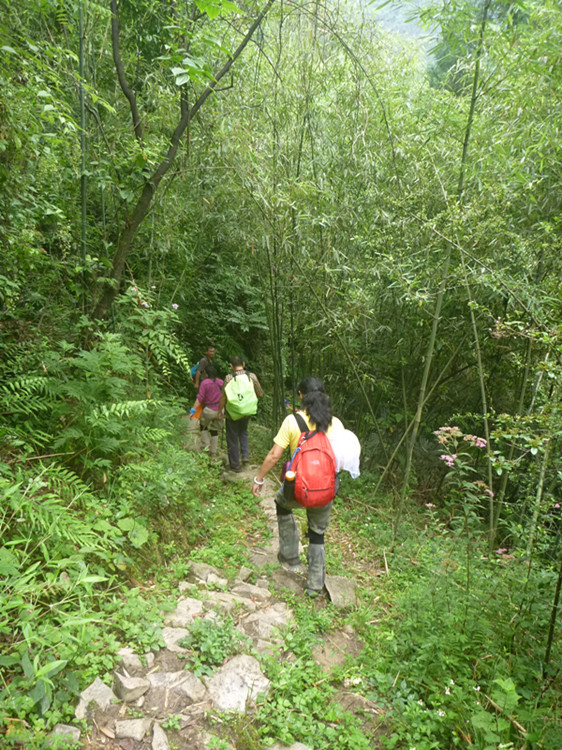 p1150786_.jpg