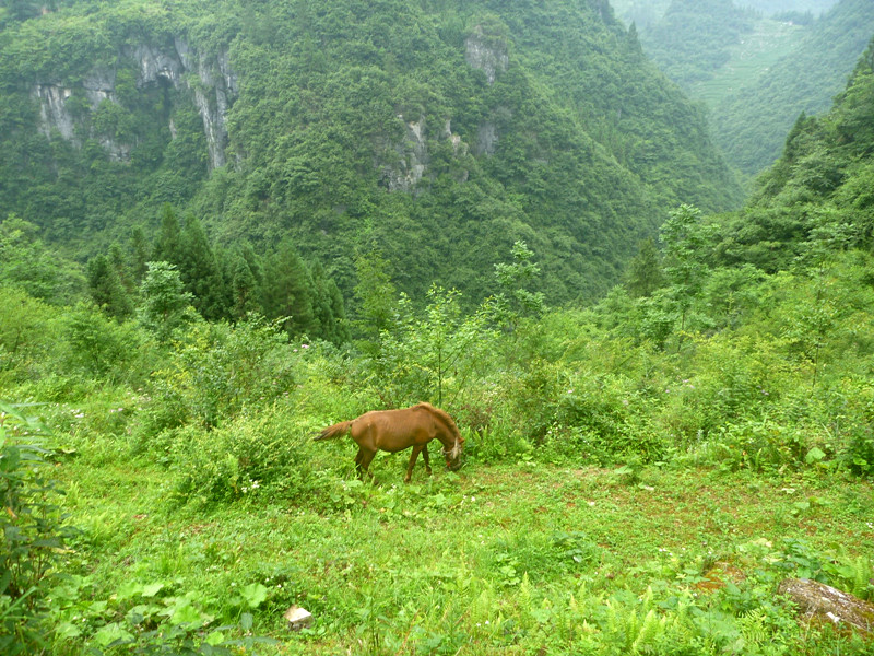 p1150787_.jpg