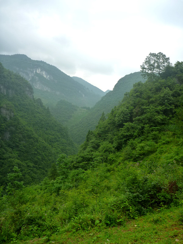 p1150788_.jpg