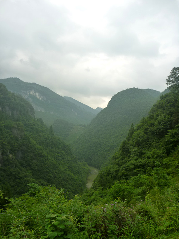 p1150789_.jpg