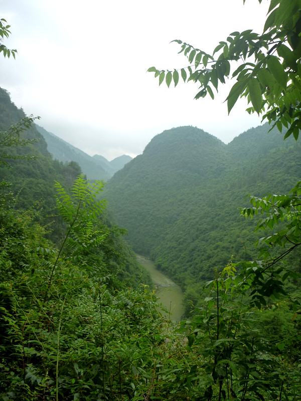 p1150790_.jpg