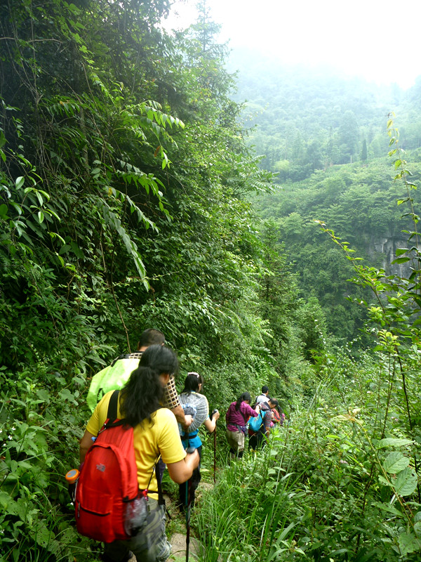 p1150793_.jpg