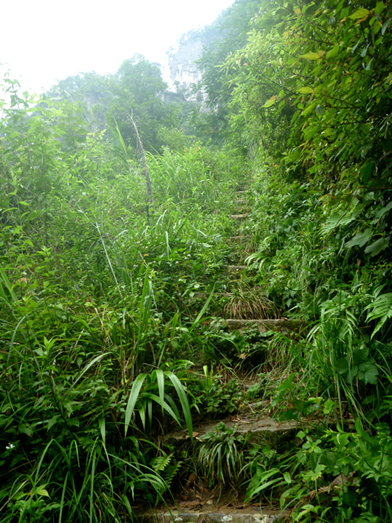 p1150796_.jpg