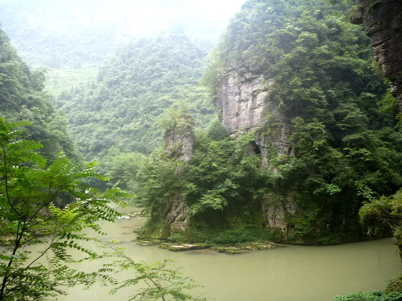 p1150804_.jpg